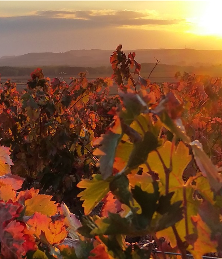 La Rioja y Navarra