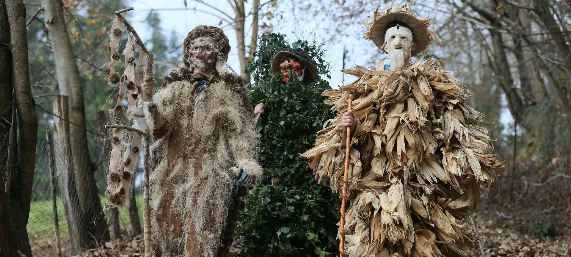 La Vijanera, Cantabria